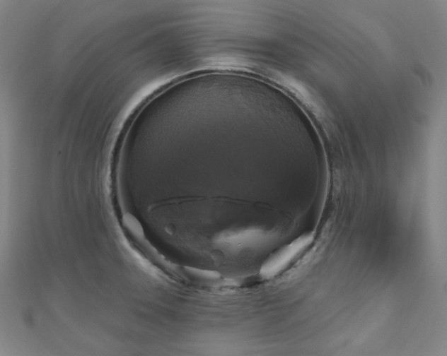 X0000111001331200906191543