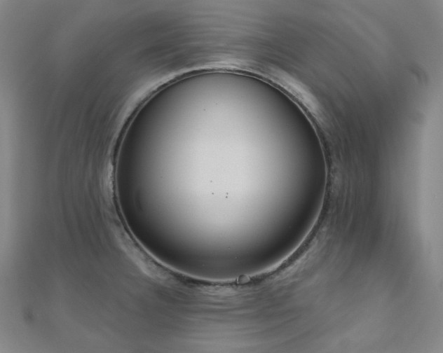 X0000111001332200906191543