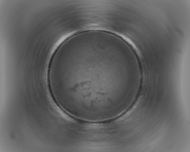X0000111001333200906191543
