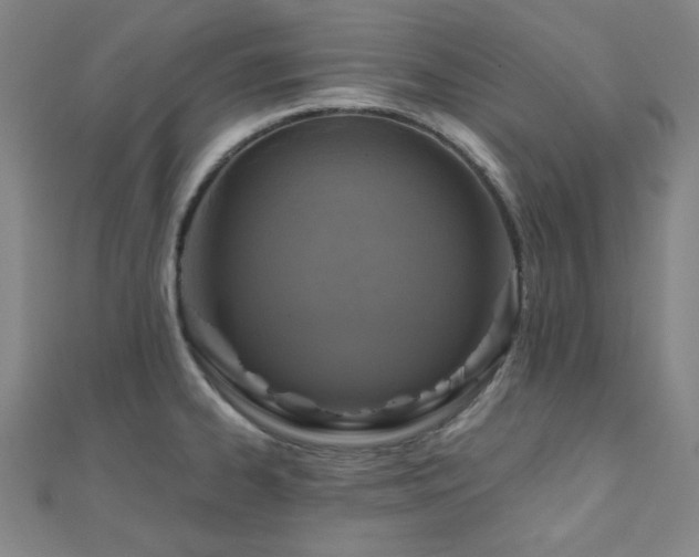 X0000111001334200906191543