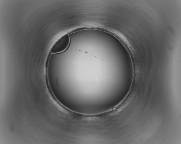 X0000111001335200906191543