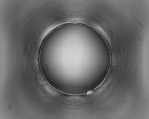 X0000111001336200906191543