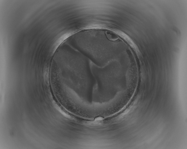 X0000111001337200906191543