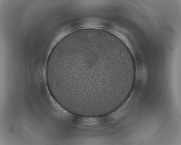 X0000111001338200906191543