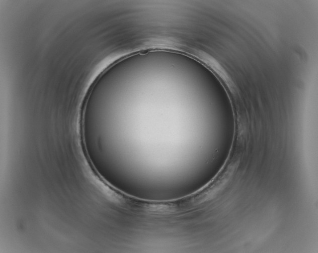 X0000111001339200906191543
