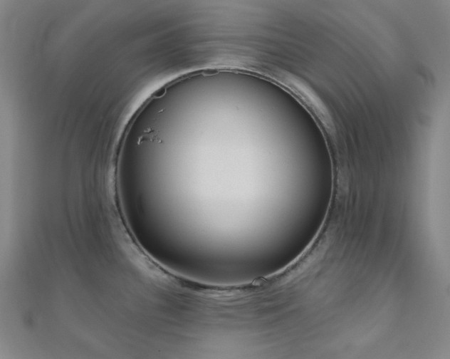 X0000111001340200906191543