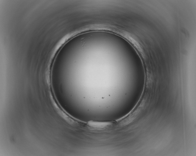 X0000111001342200906191543