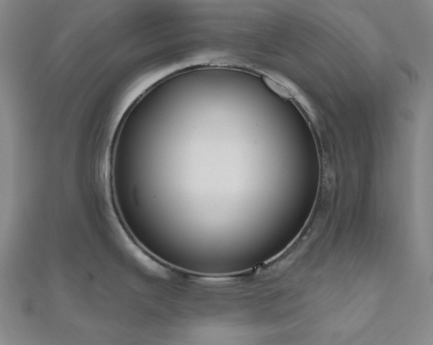X0000111001343200906191543