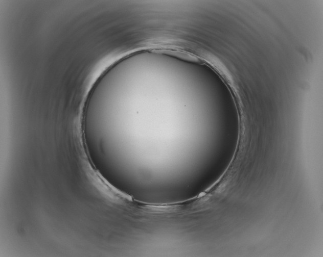 X0000111001344200906191543