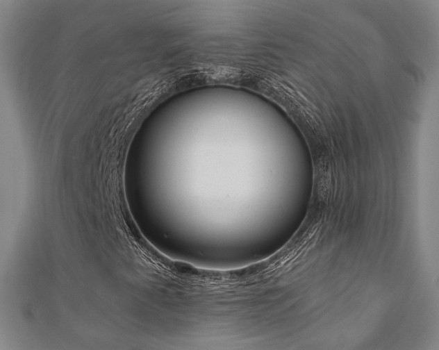 X0000111001345200906191542