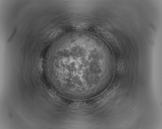 X0000111001346200906191542