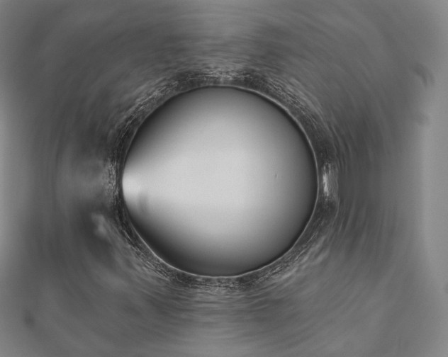 X0000111001347200906191542