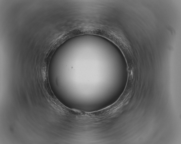 X0000111001348200906191542