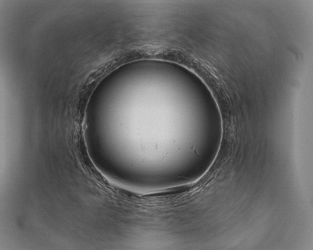 X0000111001349200906191542