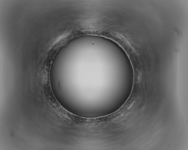 X0000111001350200906191542