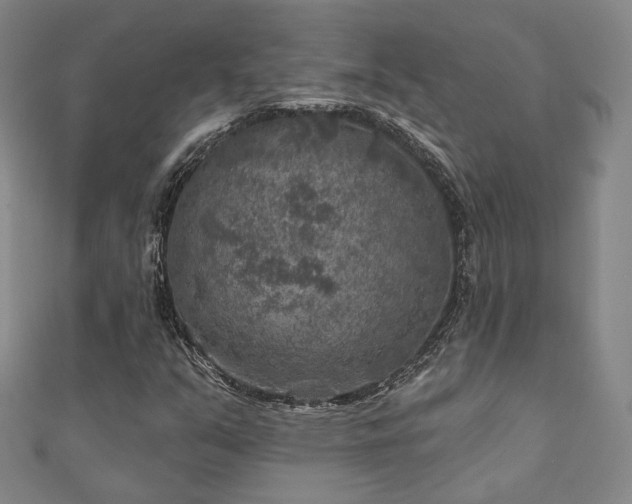 X0000111001351200906191542