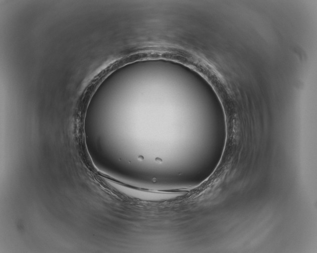 X0000111001352200906191542