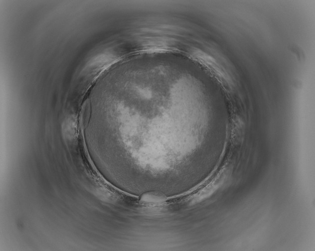 X0000111001353200906191542