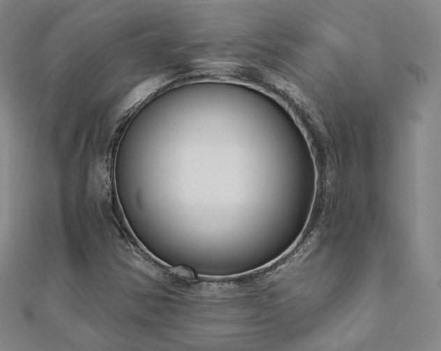 X0000111001354200906191542