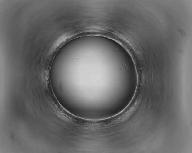 X0000111001355200906191542
