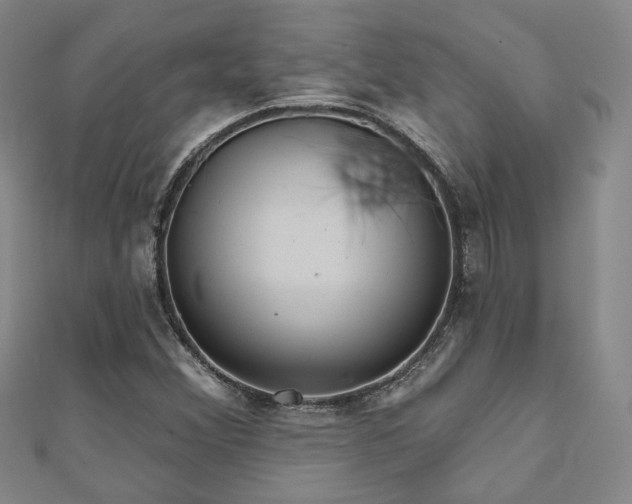 X0000111001356200906191542