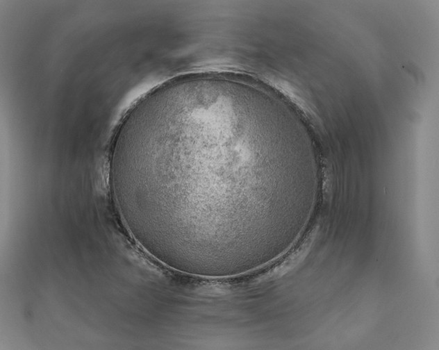 X0000111001358200906191542