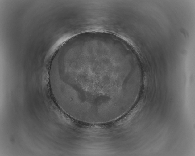 X0000111001359200906191542