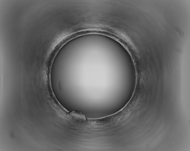 X0000111001360200906191542