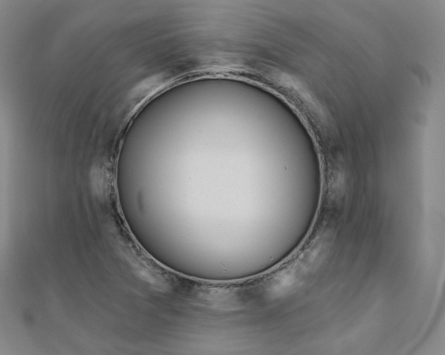 X0000111001361200906191542
