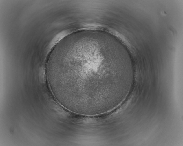 X0000111001362200906191542