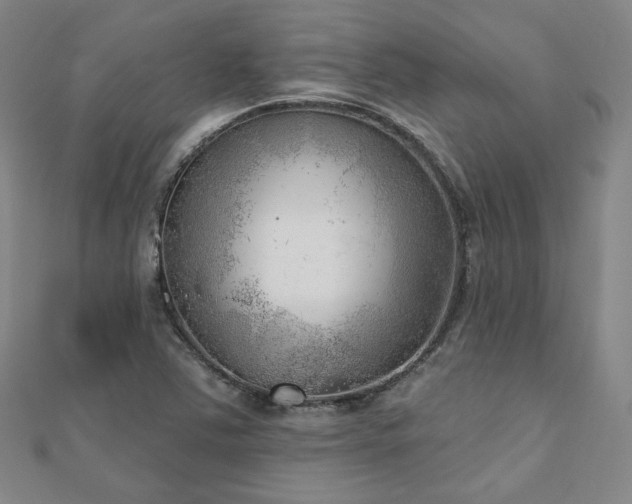 X0000111001363200906191542