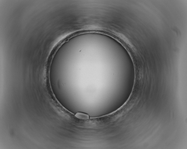 X0000111001364200906191542