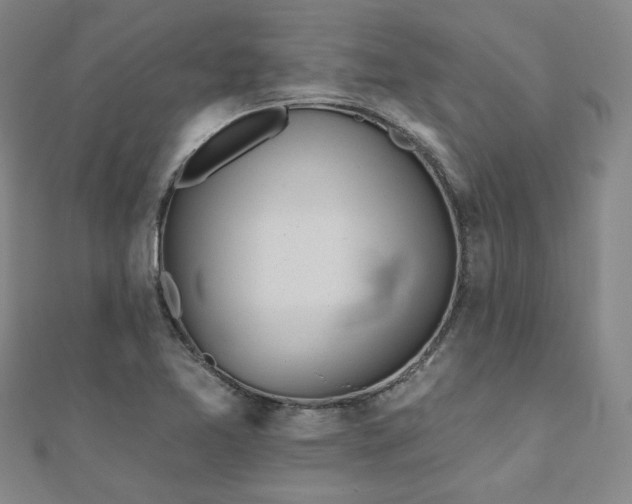 X0000111001365200906191542