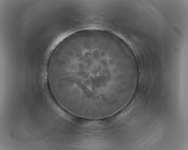 X0000111001367200906191542
