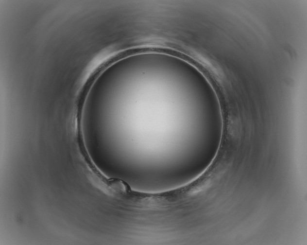 X0000111001368200906191542