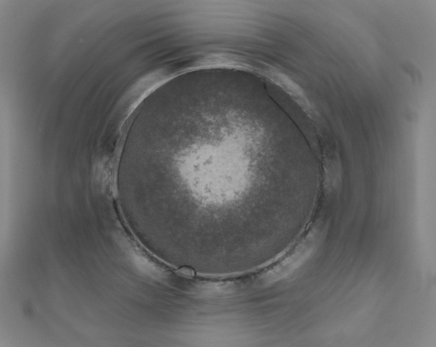 X0000111001369200906191542