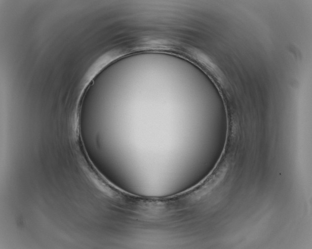 X0000111001370200906191542