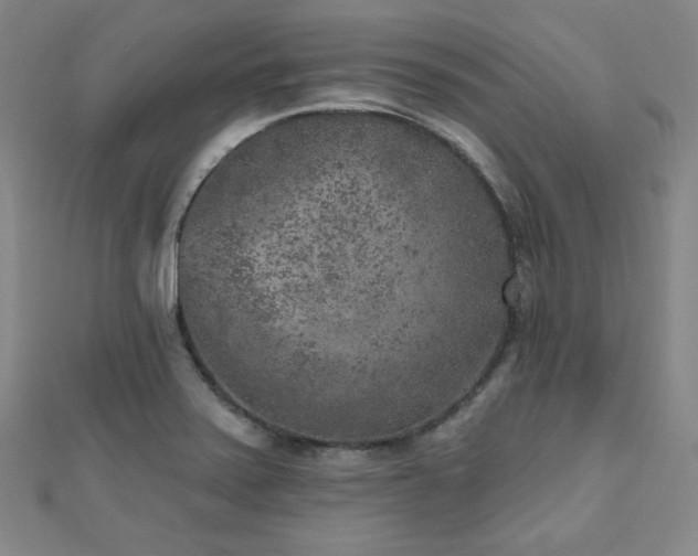 X0000111001371200906191542