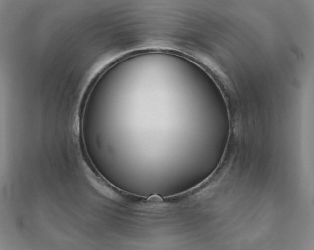 X0000111001372200906191542