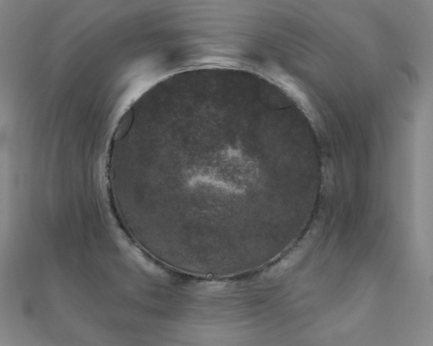 X0000111001373200906191542