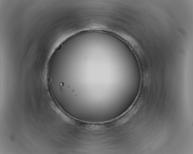X0000111001374200906191542