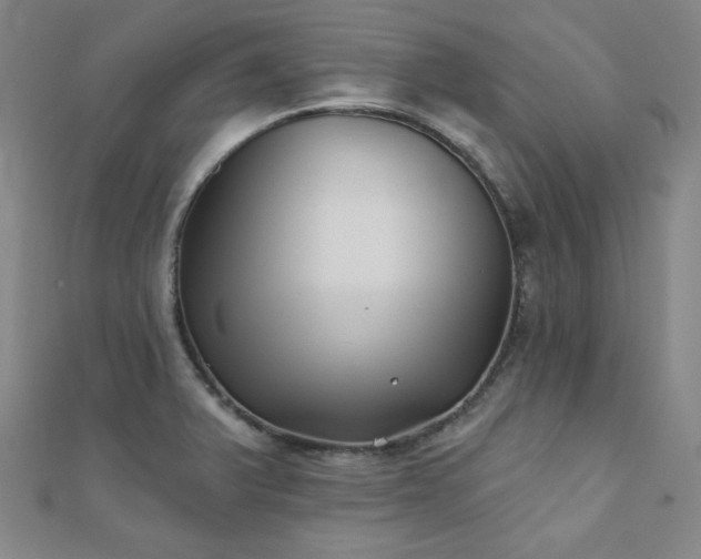 X0000111001375200906191542