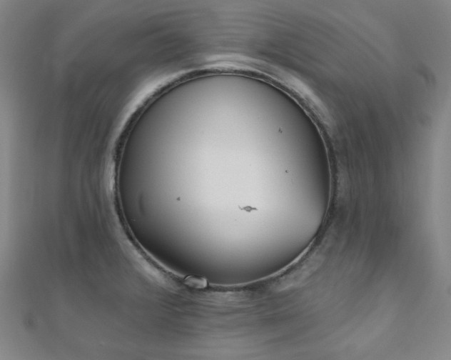 X0000111001376200906191542