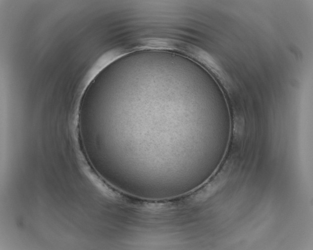 X0000111001378200906191542