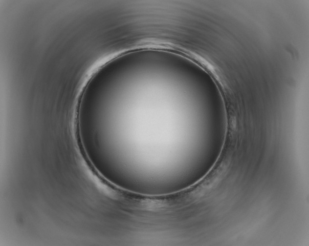 X0000111001379200906191542