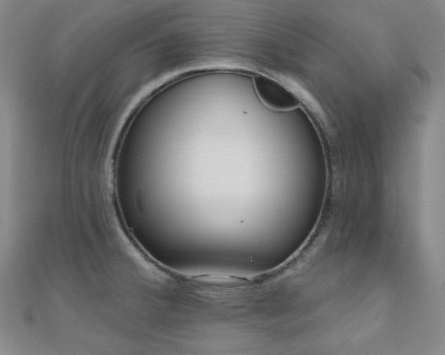 X0000111001380200906191542