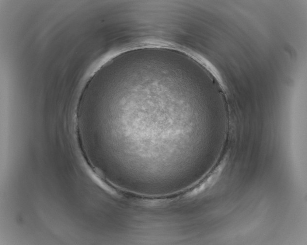 X0000111001381200906191542