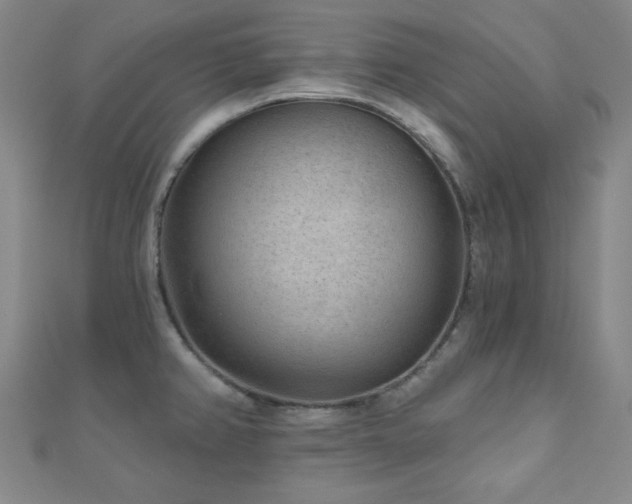 X0000111001382200906191542