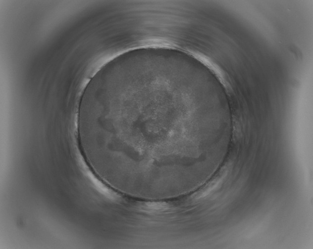X0000111001383200906191542