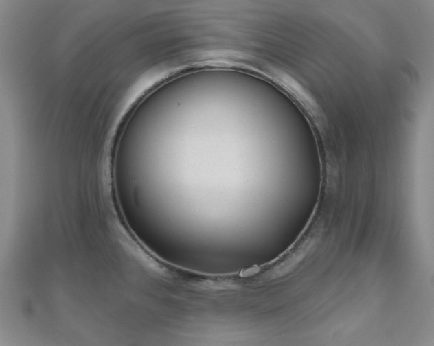 X0000111001384200906191542
